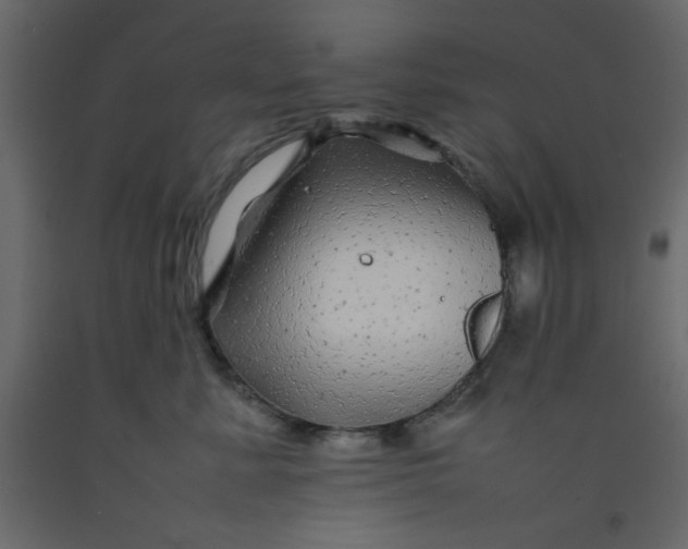 X0000092210619200710051138