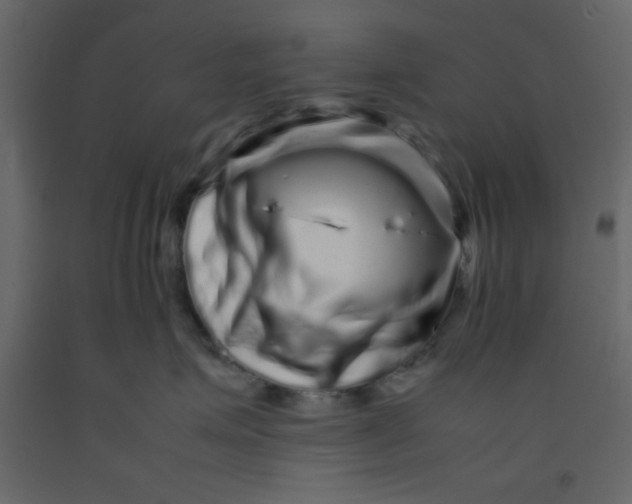 X0000092210623200710051138