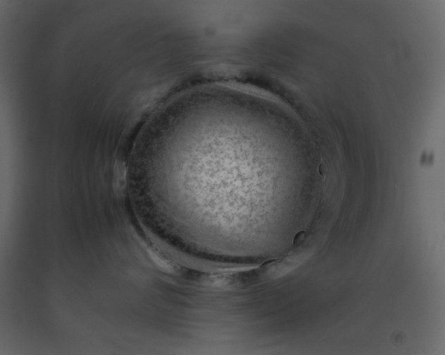 X0000092210624200710051138