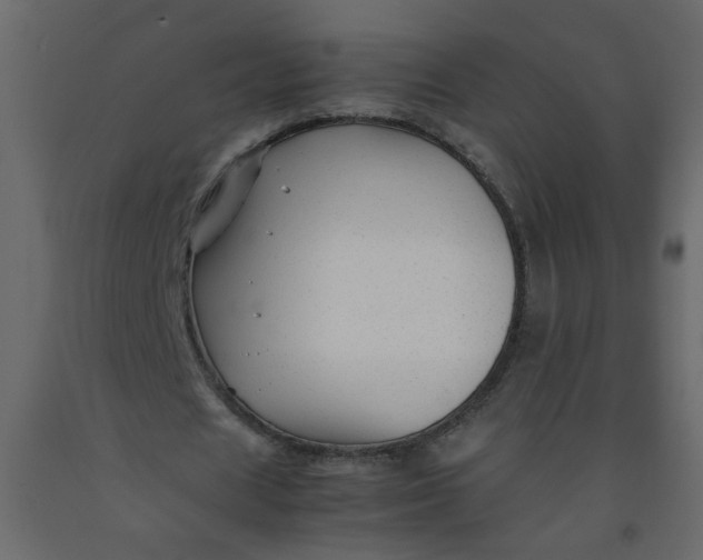 X0000092210625200710051137