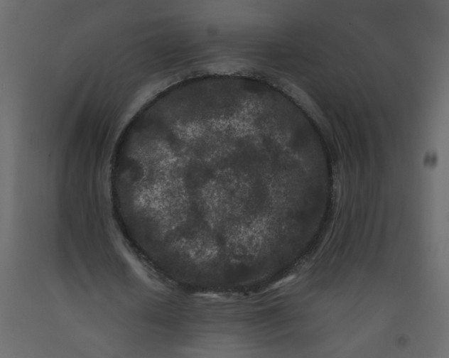 X0000092210626200710051137