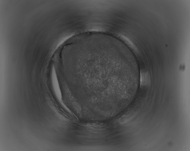 X0000092210627200710051137