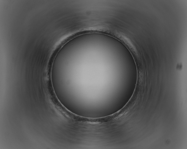 X0000092210628200710051137