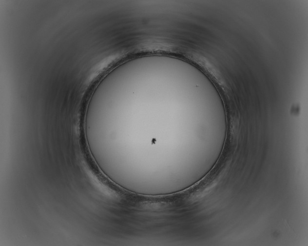 X0000092210629200710051137