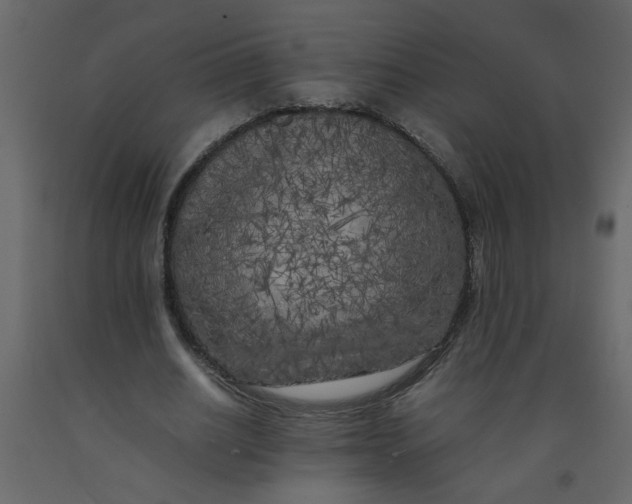 X0000092210630200710051137