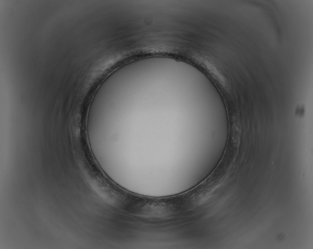 X0000092210631200710051137