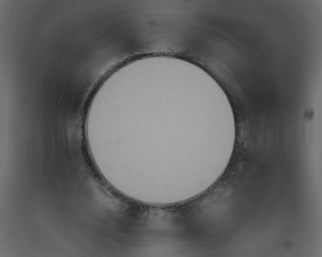 X0000092210632200710051137