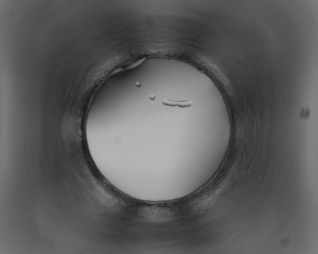 X0000092210633200710051137