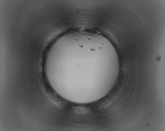 X0000092210635200710051137