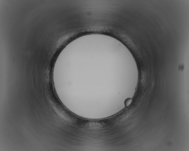 X0000092210636200710051137