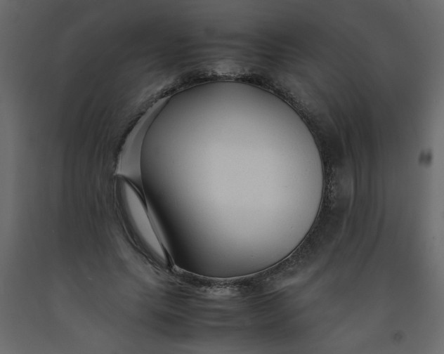 X0000092210639200710051137