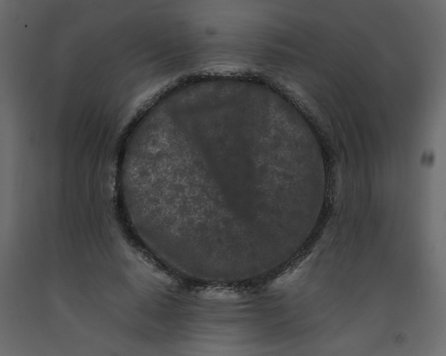 X0000092210640200710051137