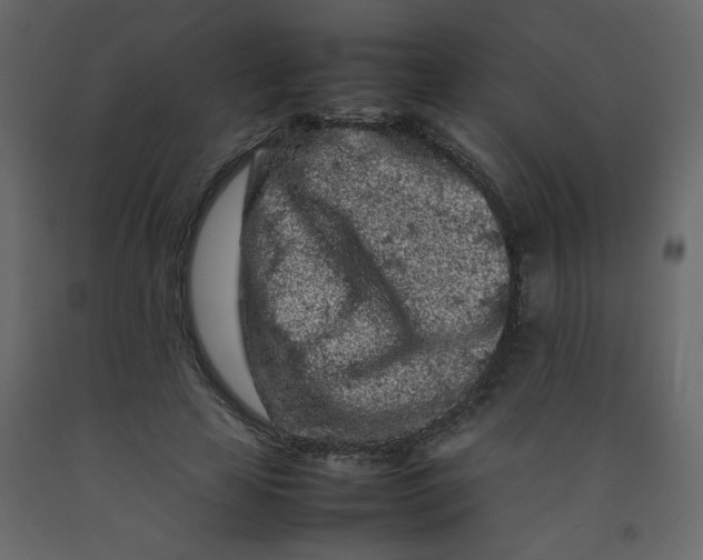 X0000092210641200710051137