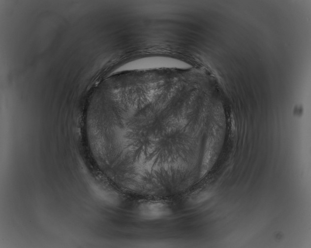 X0000092210643200710051138