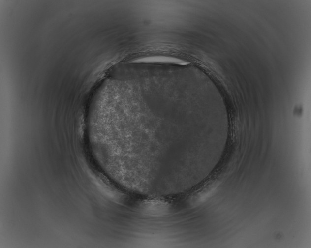 X0000092210644200710051138