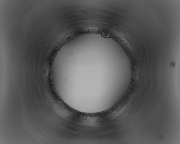 X0000092210645200710051138