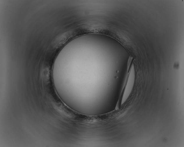 X0000092210646200710051138