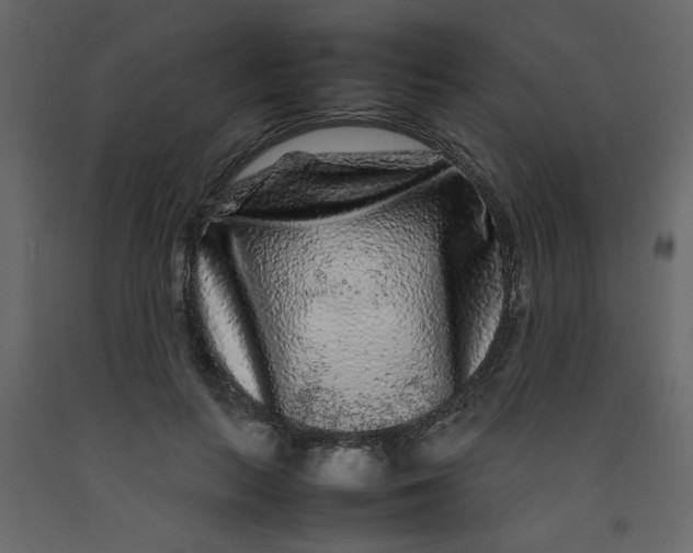 X0000092210647200710051138