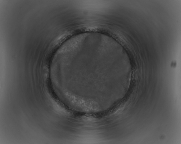 X0000092210648200710051138