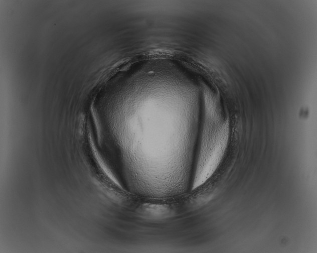 X0000092210649200710051138