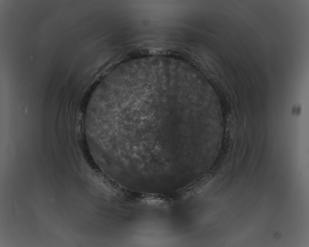 X0000092210650200710051138