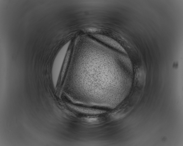 X0000092210651200710051138