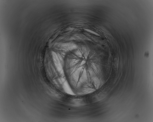 X0000092210653200710051138