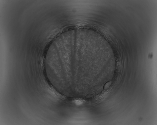 X0000092210654200710051138