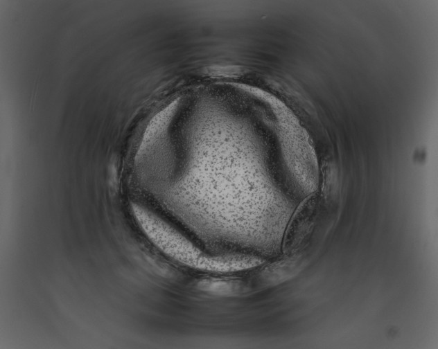 X0000092210655200710051138