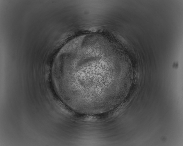 X0000092210656200710051138