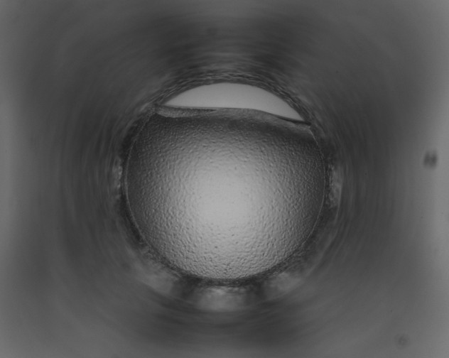 X0000092210657200710051138