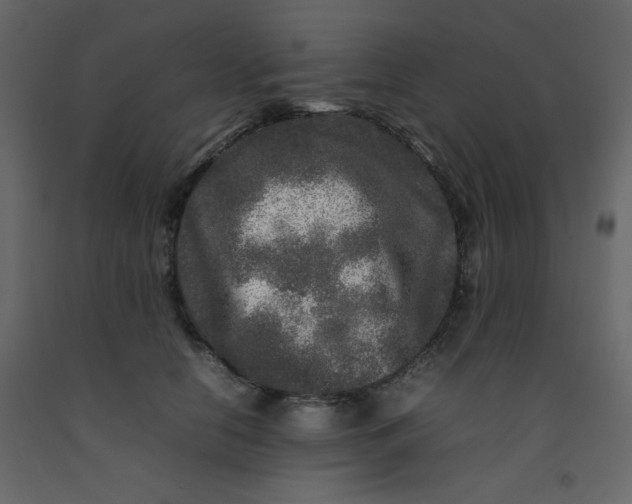 X0000092210658200710051138