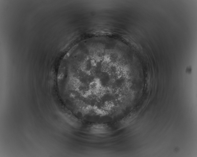 X0000092210659200710051138