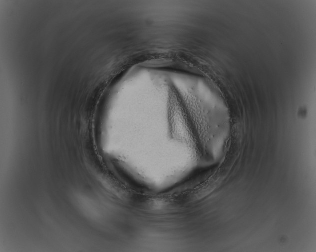 X0000092210662200710051138