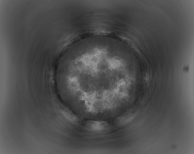 X0000092210663200710051138