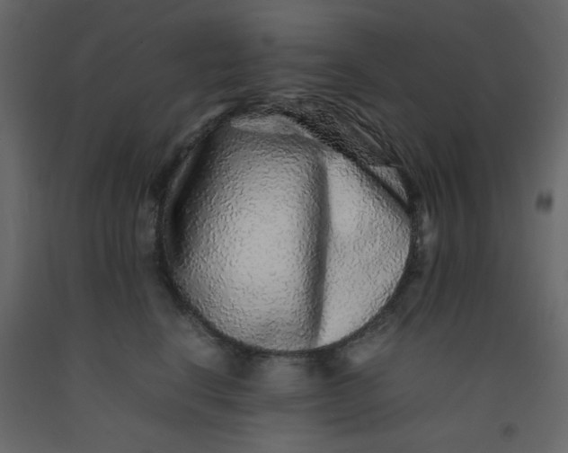 X0000092210664200710051138