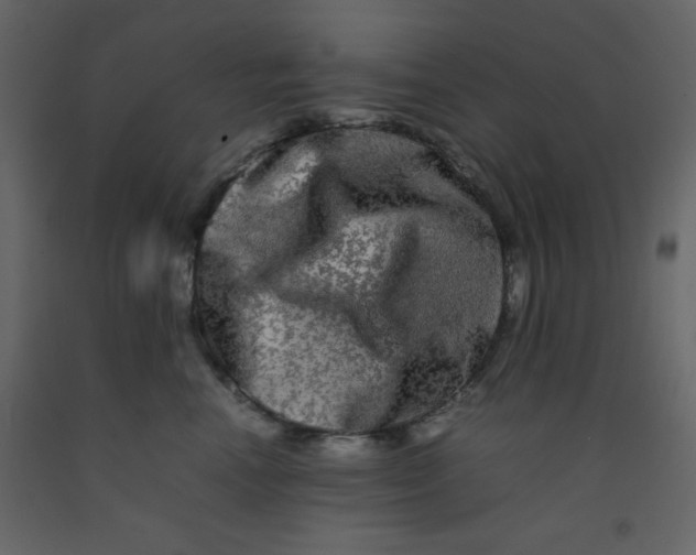 X0000092210666200710051138