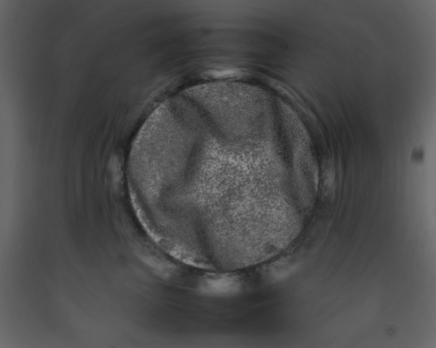 X0000092210667200710051138