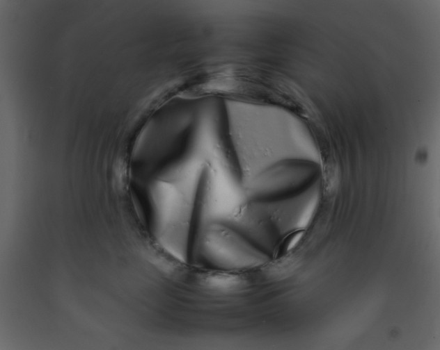 X0000092210669200710051138