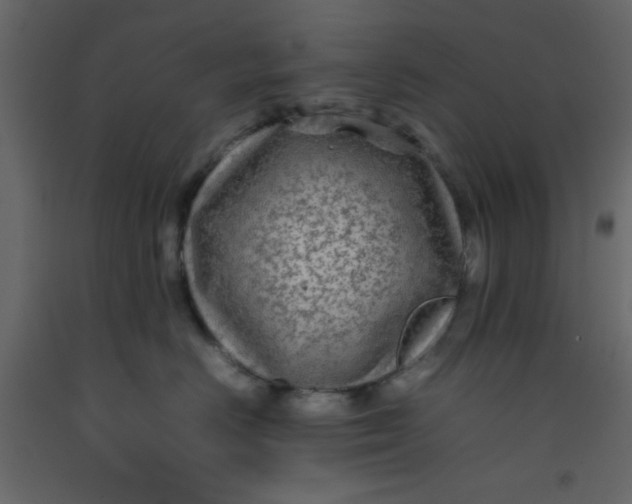 X0000092210670200710051138