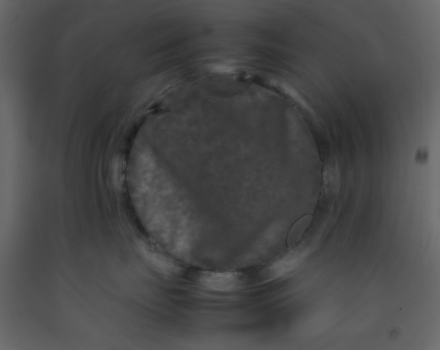 X0000092210671200710051138