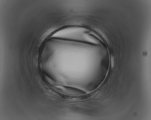 X0000092210675200710051137