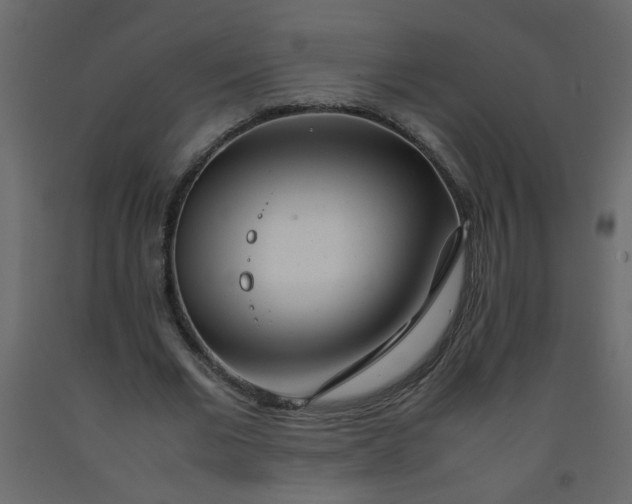 X0000092210677200710051137