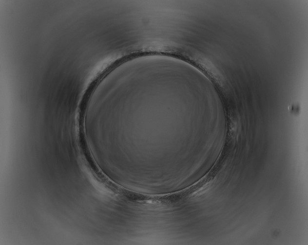 X0000092210678200710051137