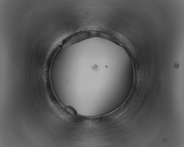 X0000092210680200710051137