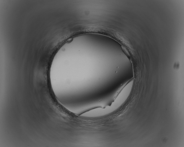 X0000092210681200710051137