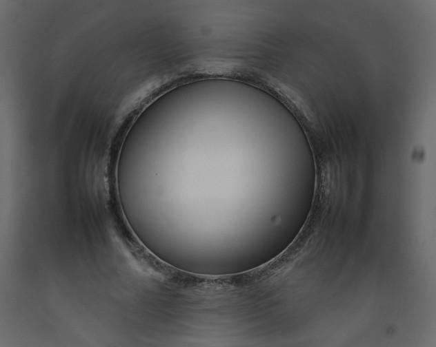 X0000092210682200710051137