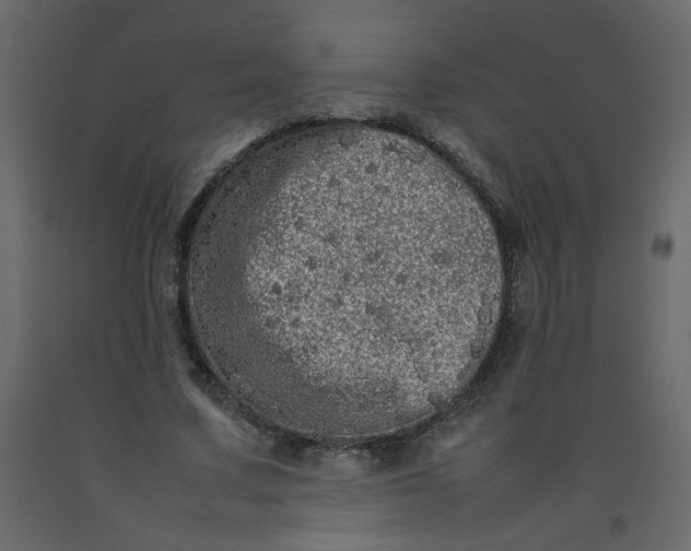 X0000092210683200710051137