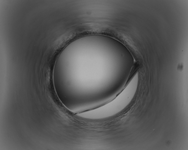 X0000092210685200710051137