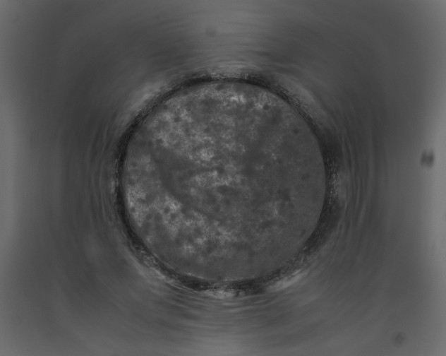 X0000092210687200710051137